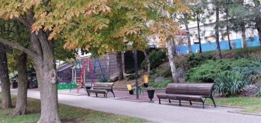 В Туле на улице Кауля до 1 августа появится новый сквер за 39 млн рублей