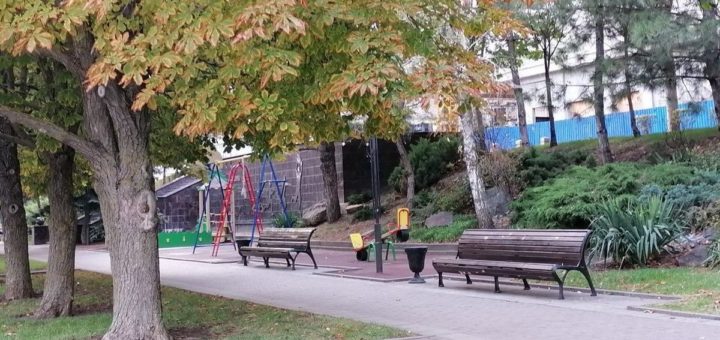 В Туле на улице Кауля до 1 августа появится новый сквер за 39 млн рублей