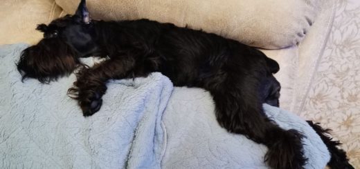 Только 30% россиян высыпаются всегда