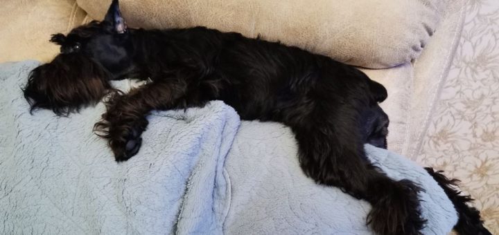 Только 30% россиян высыпаются всегда