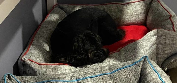 12:53 Тульские предприниматели используют сервисы и продукты Цифровой платформы МСП.РФ