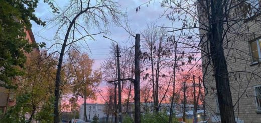 За сутки в Туле произошло 21 ДТП и пожар