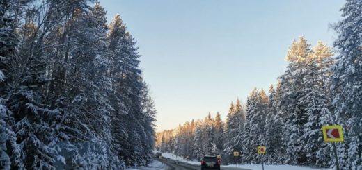 В ГИБДД Тульской области напомнили об опасности на дорогах