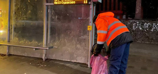 В Туле за сутки вывезли около 280 кубометров снега