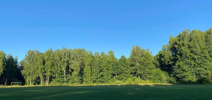 Как правильно защищать леса МК Тула