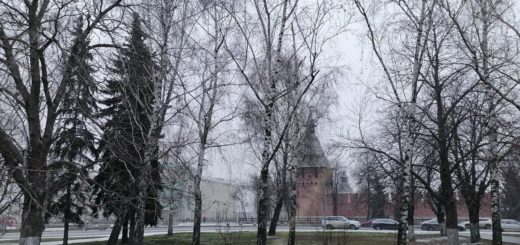 Какая погода будет в Тульской области 20 марта