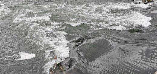 В Тульской области зафиксировано 4,9 квадратных километра подтоплений