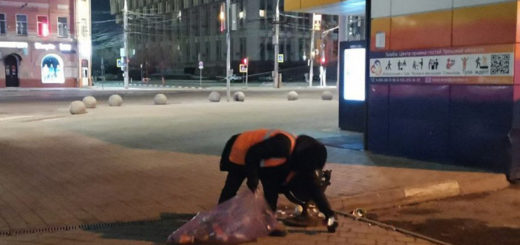 В Туле уборку проводят около 330 человек