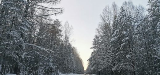 В Одоевском районе Тульской области упал беспилотник