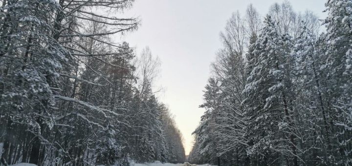 В Одоевском районе Тульской области упал беспилотник