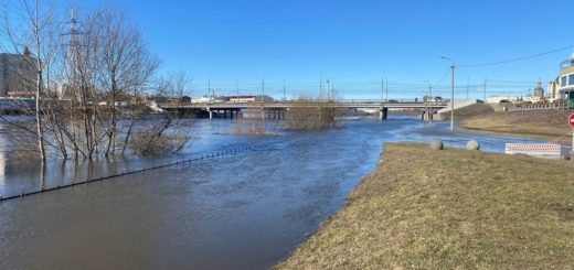 Уровень воды в тульской реке Упа поднялся на 5 метров