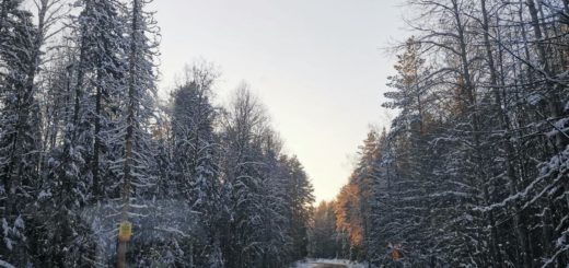 С 17 по 18 марта в Тульской области ожидается ухудшение погодных условий