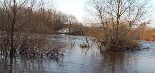 В Ефремовском районе восстановили движение по двум мостам