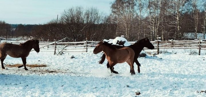 Народные приметы на 23 марта – что нельзя делать
