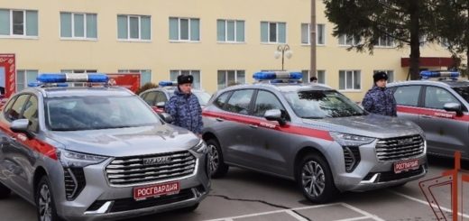 Тульские росгвардейцы получили 13 новых служебных кроссоверов Haval