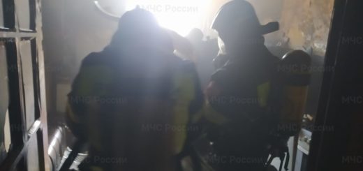 На пожаре в Алексине спасли двух человек