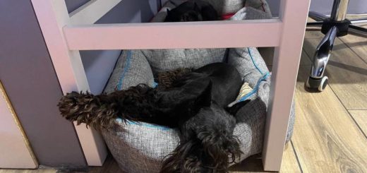 При недостаточном сне возможно набрать лишний вес