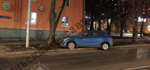 В Туле на улице Серова 39 летний водитель Kia Rio врезался в дерево