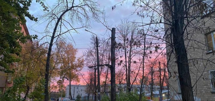 В Туле за сутки произошло 33 ДТП и один пожар