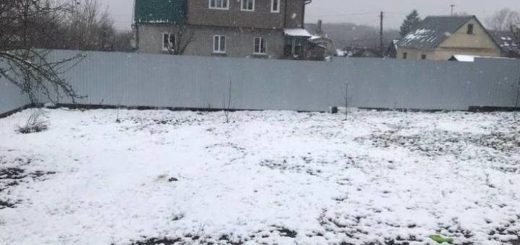 В тульской области ожидается арктическое вторжение