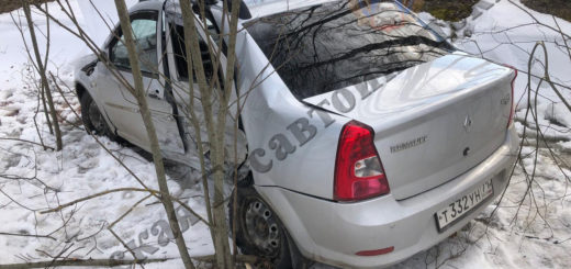 В ДТП под Арсеньево погиб мужчина и пострадала его женщина пассажир
