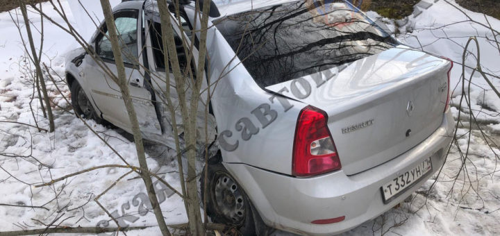 В ДТП под Арсеньево погиб мужчина и пострадала его женщина пассажир