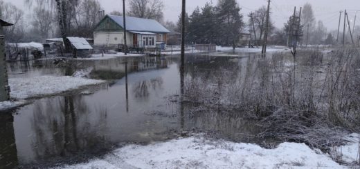 В Тульской области зафиксировали подтопления 75 приусадебных участков