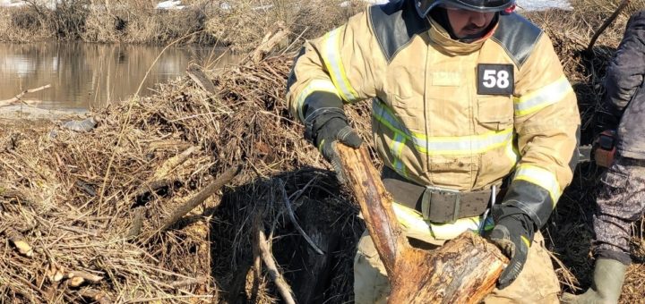 В Одоевском районе продолжают ликвидировать последствия паводка