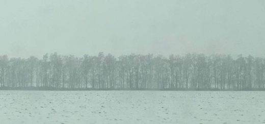 Тульских автолюбителей предупредили о тумане и порывах ветра до 10 м/с