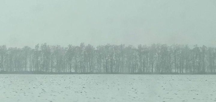 Тульских автолюбителей предупредили о тумане и порывах ветра до 10 м/с