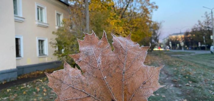 В Тульской области ночью 2 апреля похолодает до нуля градусов
