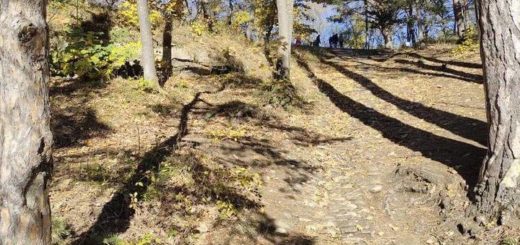 В Тульской области зарегистрировали первых клещей в 2023 году