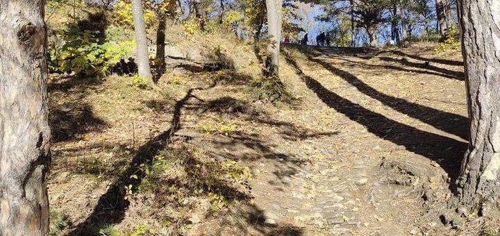 В Тульской области зарегистрировали первых клещей в 2023 году