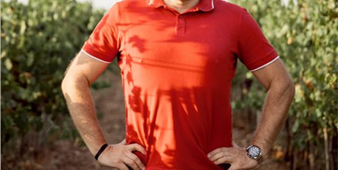 виноградники в Крыму