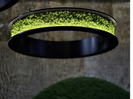 Вертикальное озеленение: инновации и эстетика